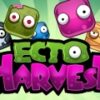 Ecto Harvest
